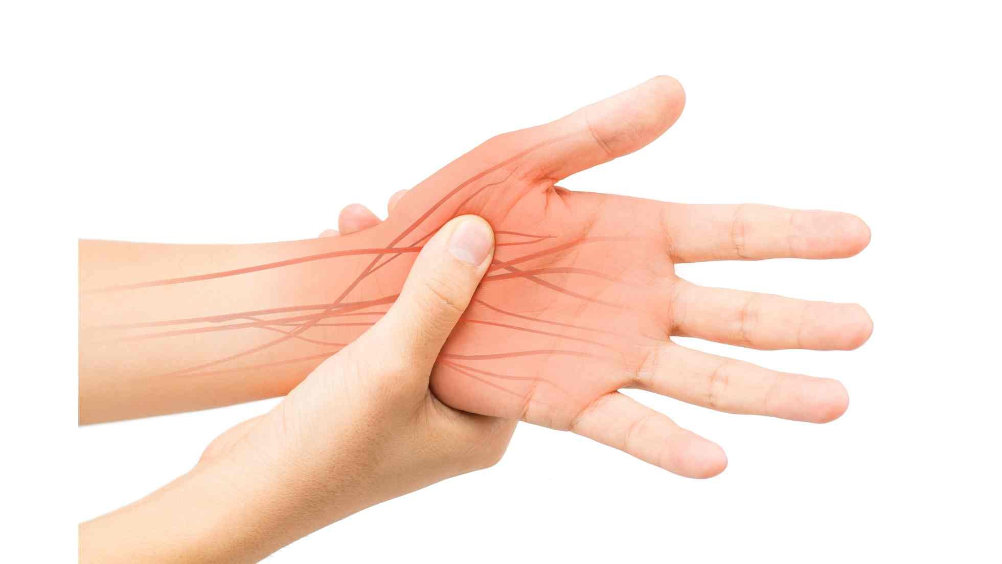 TEC ORTHOPEDICS