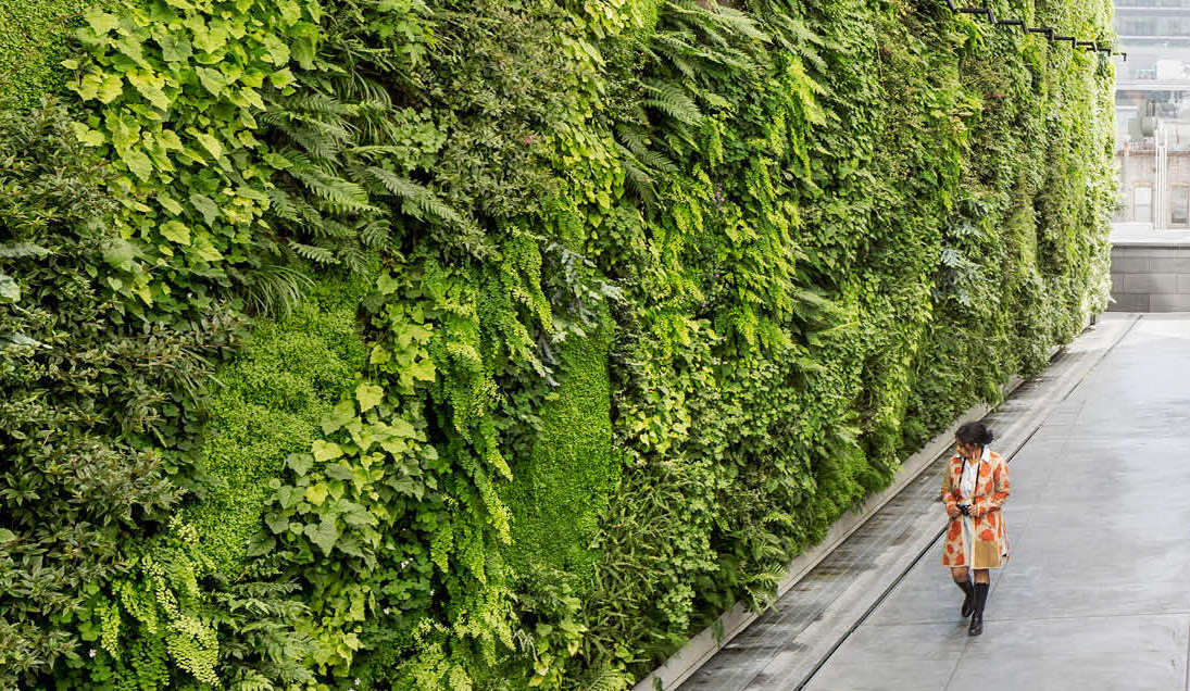 Vertical Green Wall System Transforming Urban Spaces with Living Architecture